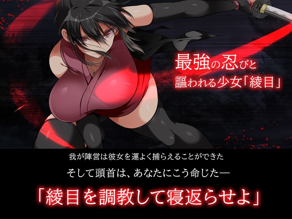 忍堕とし サンプル画像 1
