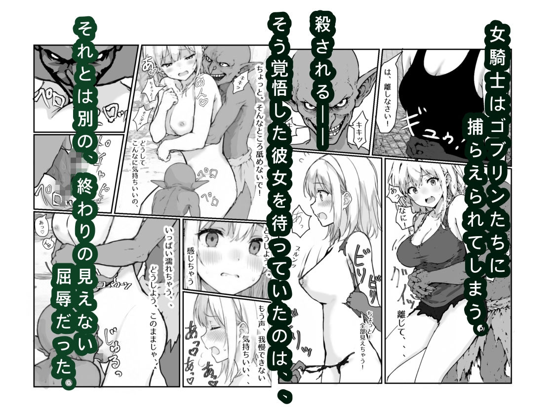 女騎士敗北録 〜ゴブリンの森〜 1 サンプル画像 3